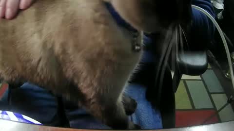 jonsexy1958 online show from January 2025 11:31:01 PM