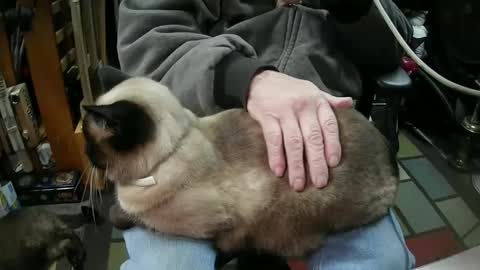 jonsexy1958 online show from January 2025 06:06:01 PM