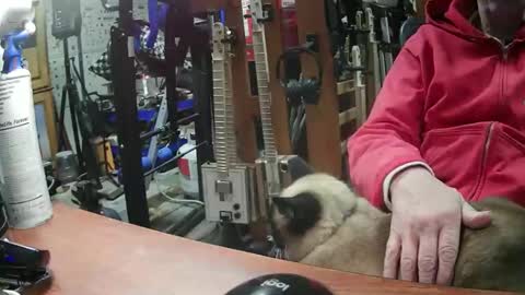 jonsexy1958 online show from February 2025 05:28:01 PM