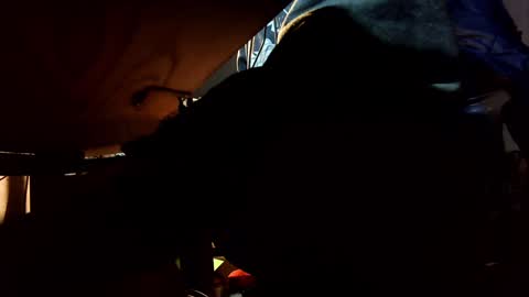 Jonathon Swift online show from December 2024 05:53:02 AM