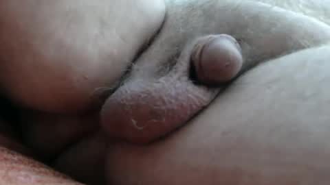 joofket online show from March 2025 05:02:01 PM