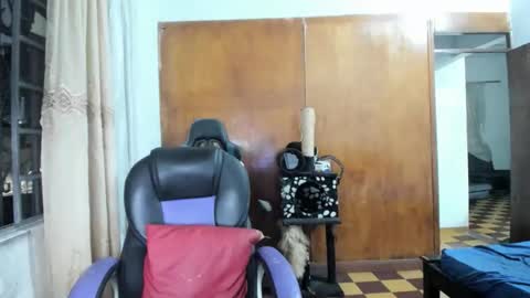 Snapshot of joseph_god chatting on October 2025 12:36:01 AM MR OAK online show from October 2025 12:36:01 AM