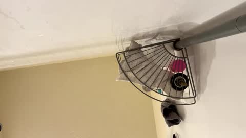 sissy josphine online show from February 2025 06:23:01 AM