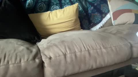 joshperrygoon online show from December 2024 03:42:02 PM