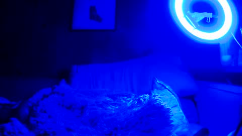 jroge21 online show from March 2025 03:22:01 AM