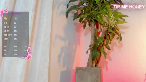 Juan Miguel online show from February 2025 09:30:01 AM