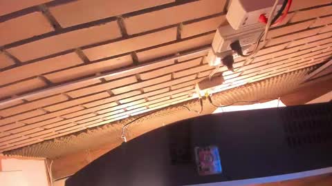 Julia online show from March 2025 04:07:02 AM