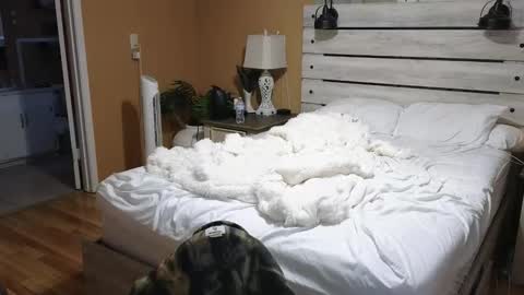 Snapshot of julianaxxxrose chatting on February 2026 02:53:02 PM Texas Mamasita online show from February 2026 02:53:02 PM