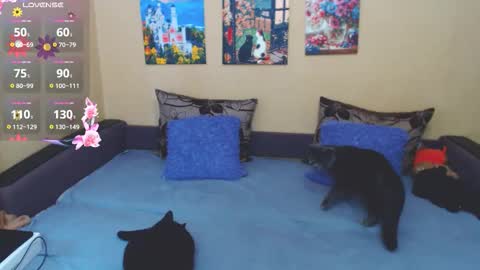 Jul online show from March 2026 09:04:01 AM