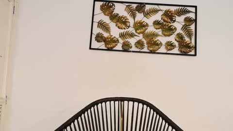 Juli online show from October 2025 08:08:01 PM