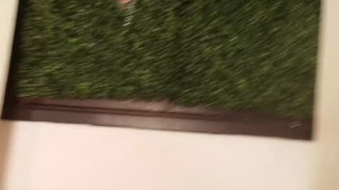 Juli online show from March 2026 12:12:02 PM