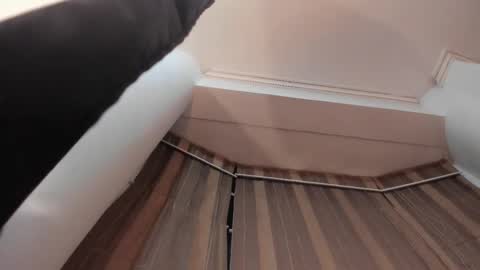 Jupiter Fox online show from October 2025 12:33:02 AM