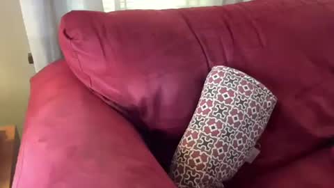 Flirty influncer online show from March 2025 06:11:01 PM