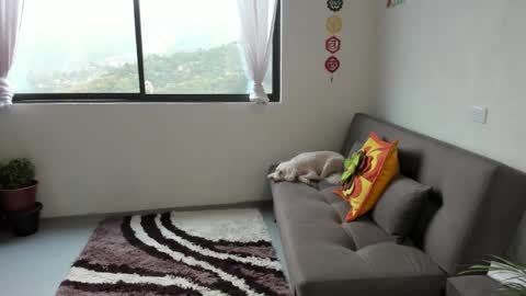 Sofia online show from March 2025 02:34:02 PM