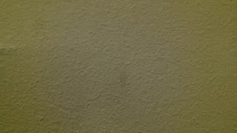 Just marlon online show from March 2025 02:15:01 AM