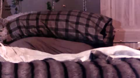 just_me636 online show from February 2026 03:01:01 AM
