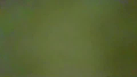 Snapshot of justbuff4 chatting on January 2026 05:28:02 PM McKeefer online show from January 2026 05:28:02 PM