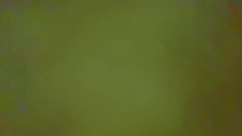 Snapshot of justbuff4 chatting on February 2026 02:37:02 PM McKeefer online show from February 2026 02:37:02 PM