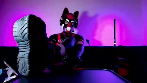 Snapshot of k9_goodboy chatting on March 2026 07:05:01 PM Alex online show from March 2026 07:05:01 PM