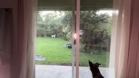 Kailee Smile online show from January 2025 03:51:02 AM