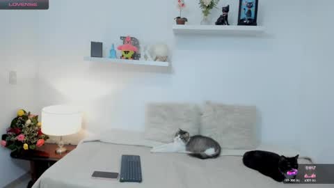 KailuaRose online show from February 2025 01:35:01 AM