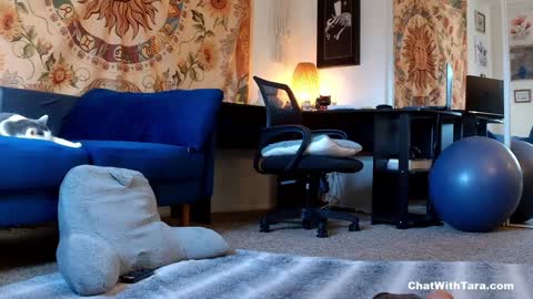 Snapshot of kalikushdreamz chatting on January 2025 10:02:01 PM Tara Smith online show from January 2025 10:02:01 PM