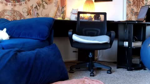 Snapshot of kalikushdreamz chatting on January 2025 06:54:01 PM Tara Smith online show from January 2025 06:54:01 PM