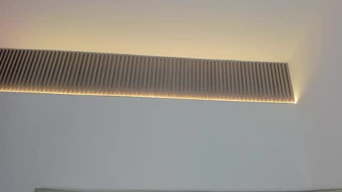 Carolina   online show from November 2025 12:05:02 PM