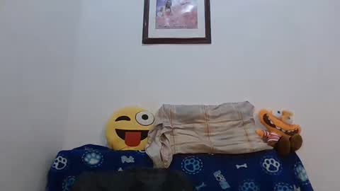    online show from January 2025 09:05:01 AM