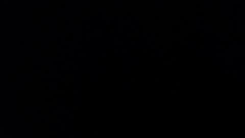 ARIANNA  online show from January 2025 08:11:02 AM