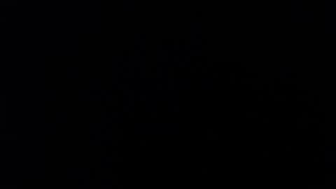 ARIANNA  online show from March 2025 05:03:02 AM