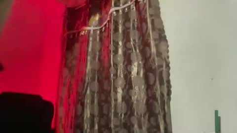 Majesty online show from November 2025 07:35:01 PM