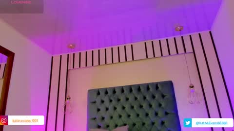 Kate Evans online show from January 2026 01:04:01 PM