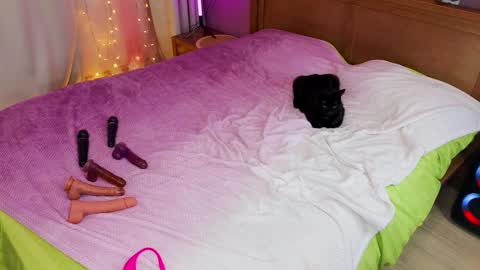 Kate  Sex-House  MILA WAYGMT2 MonTue  0300am-1500am online show from December 2024 12:22:01 PM