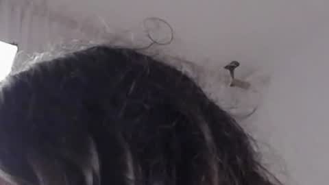 Help me with rate thanks  online show from December 2024 08:47:01 AM