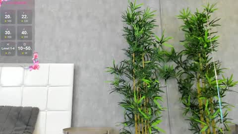 Kate online show from January 2025 06:24:01 AM