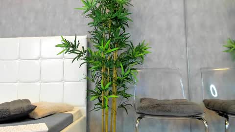 Kate online show from February 2025 09:38:01 AM