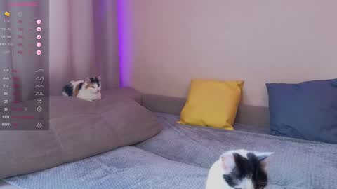 Katerina online show from January 2025 05:52:02 AM