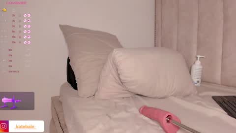 Snapshot of kateryn_bale chatting on December 2024 11:13:01 PM kateryn_bale online show from December 2024 11:13:01 PM