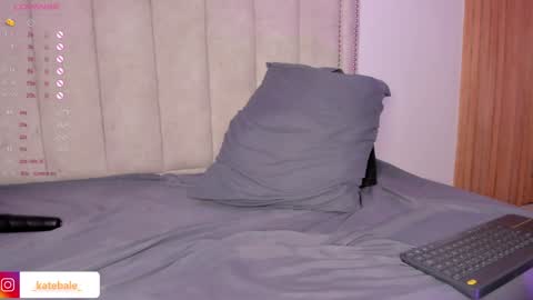 Snapshot of kateryn_bale chatting on January 2025 11:28:01 PM kateryn_bale online show from January 2025 11:28:01 PM