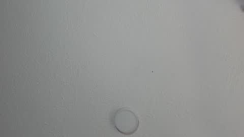 love meeee online show from January 2025 03:32:02 PM