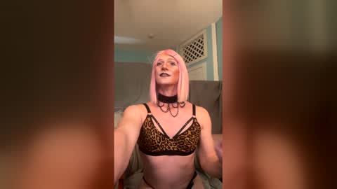 Snapshot of katiebabykitty chatting on May 2026 01:35:01 AM katiebabykitty online show from May 2026 01:35:01 AM