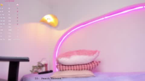 Katy  IGPeach kat666 online show from January 2025 03:40:01 PM