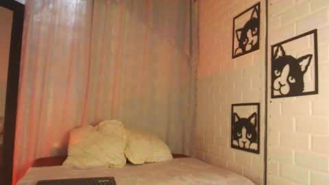 kattia online show from February 2025 09:31:01 PM