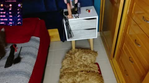 Arianna online show from December 2024 07:38:02 PM