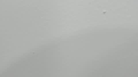 katy blonde girl and paola big boobs online show from January 2025 01:47:01 AM