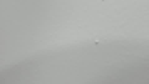 katy blonde girl and paola big boobs online show from February 2025 01:52:02 AM