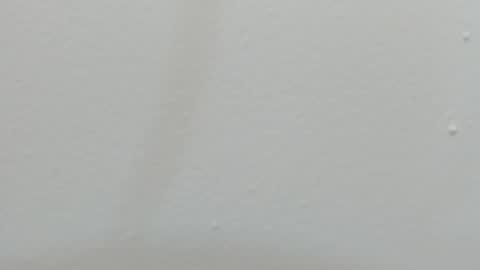 katy blonde girl and paola big boobs online show from February 2025 07:38:02 PM