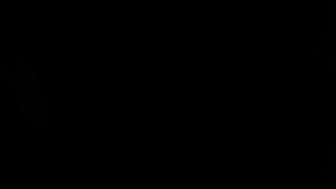 trannyblacklatinhot online show from January 2025 09:31:01 PM