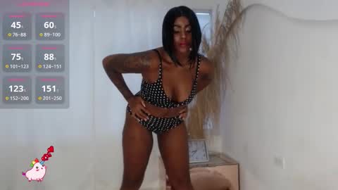      online show from November 2025 01:34:01 PM